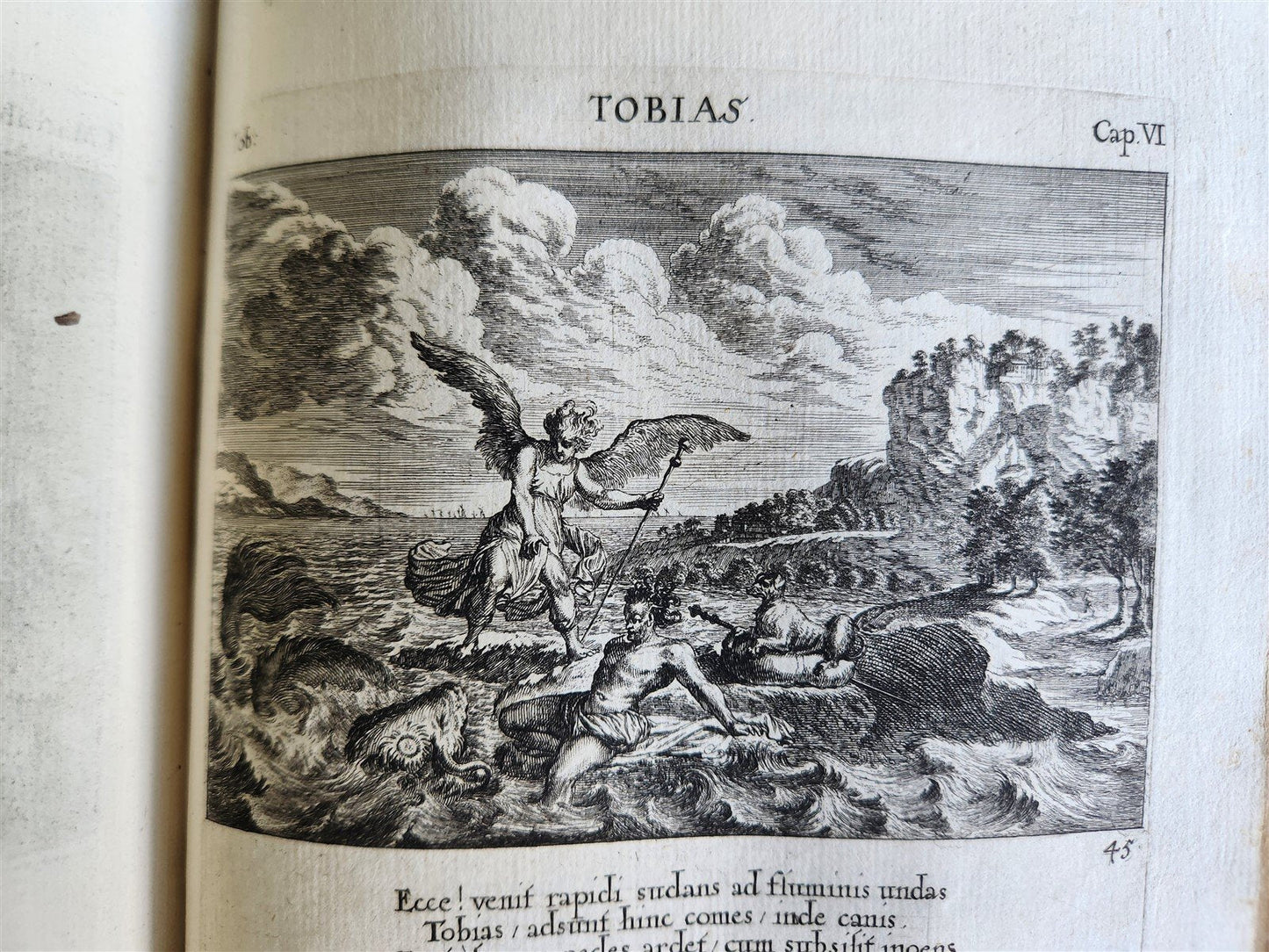 1679 ILLUSTRATED BIBLE antique Icones biblicae Veteris et Novi Testamenti RARE