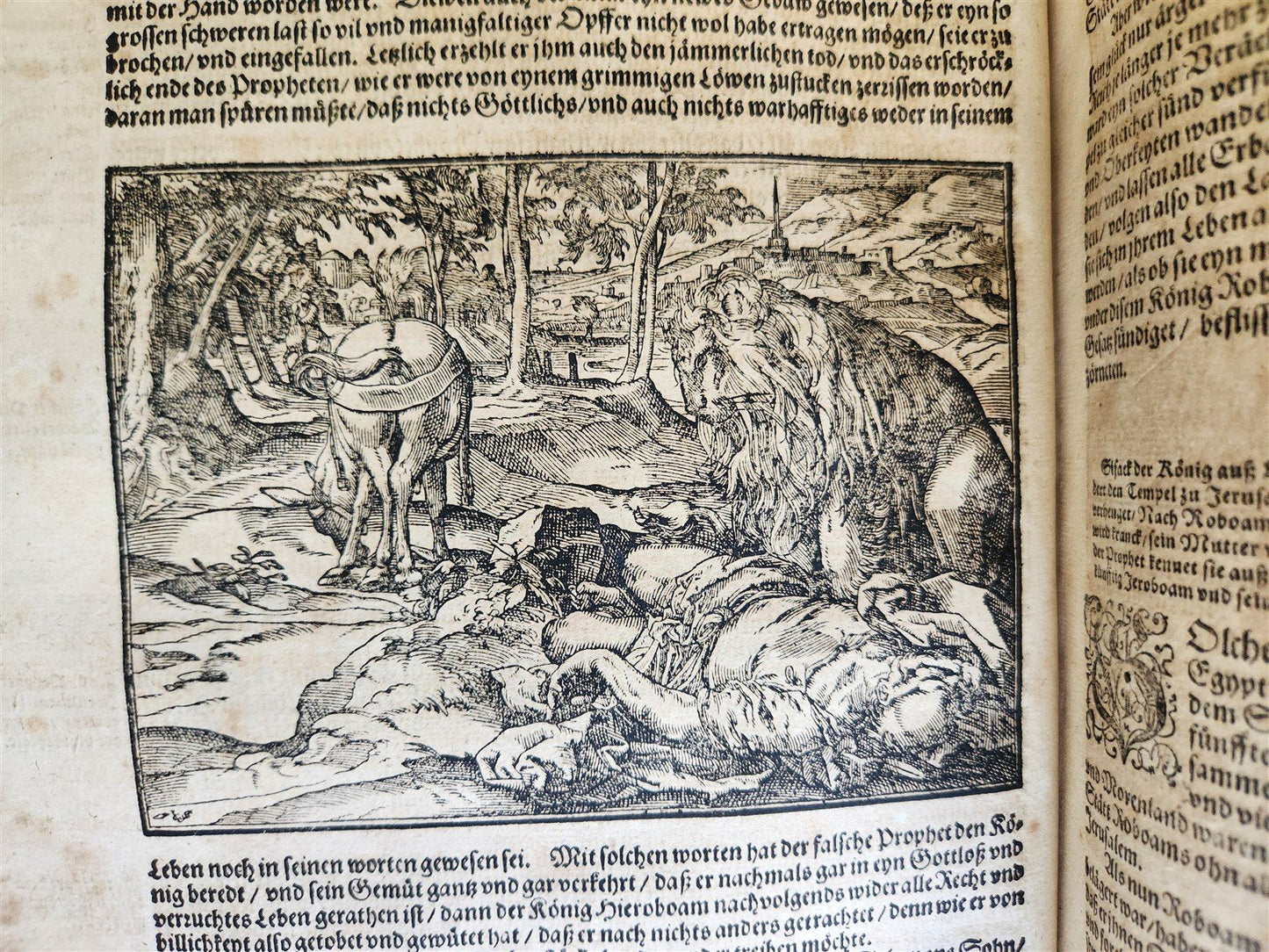 1595 FLAVIUS JOSEPHUS ILLUSTRATED by TOBIAS STIMMER antique FOLIO JUDAICA