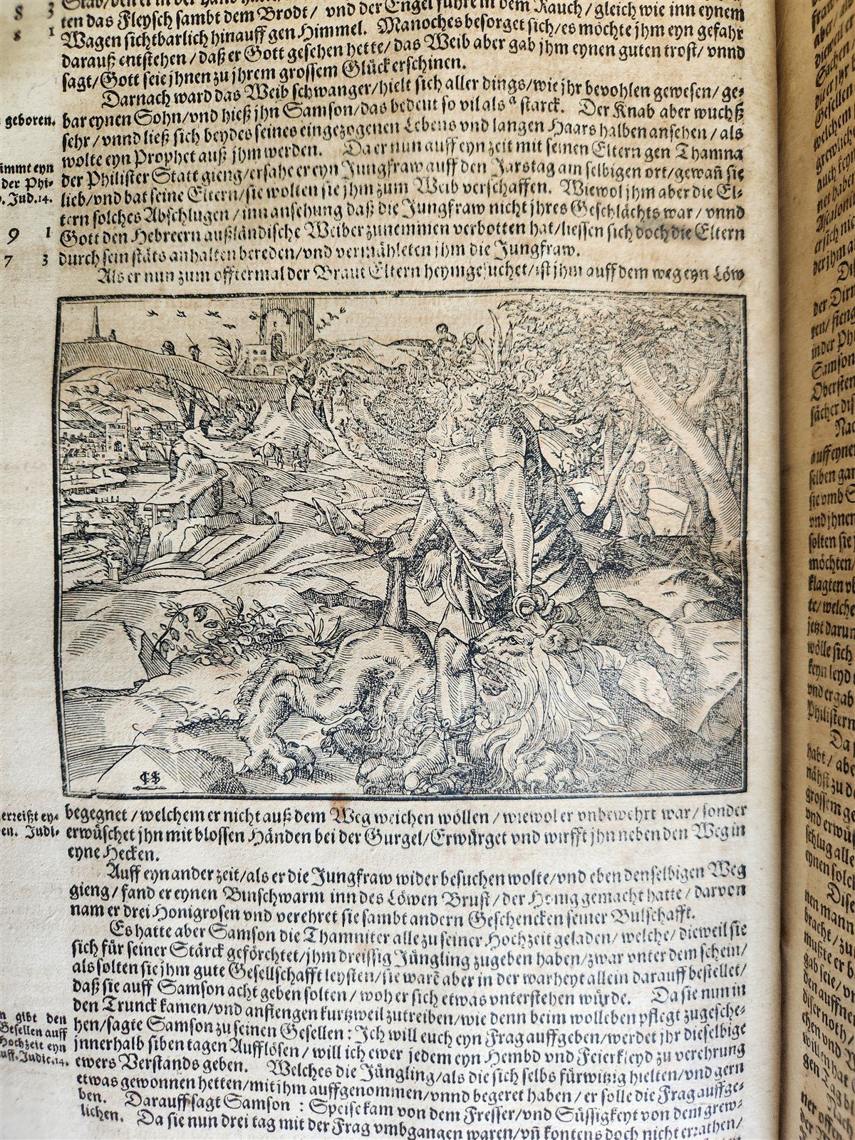 1595 FLAVIUS JOSEPHUS ILLUSTRATED by TOBIAS STIMMER antique FOLIO JUDAICA