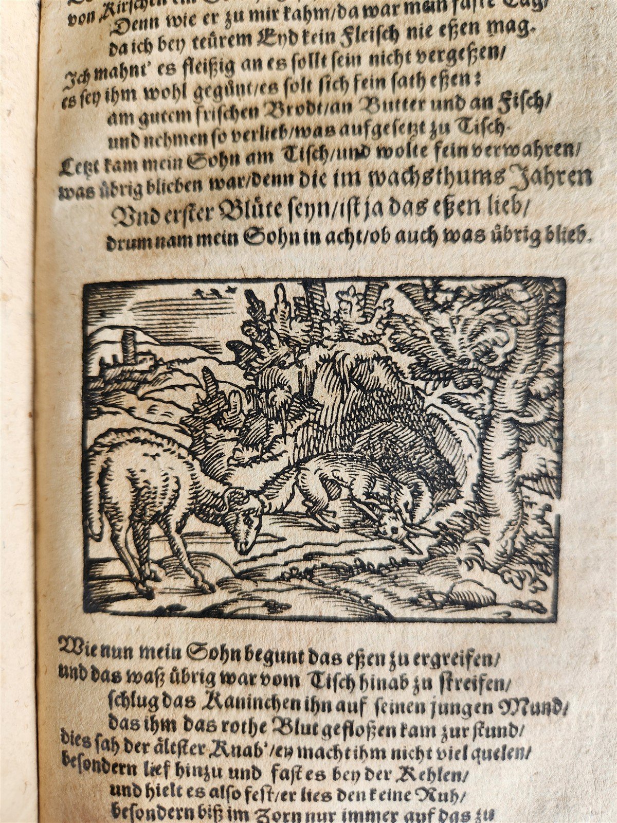 1650 REYNARD THE FOX in GERMAN antique ILLUSTRATED w/ 41 WOODCUTS