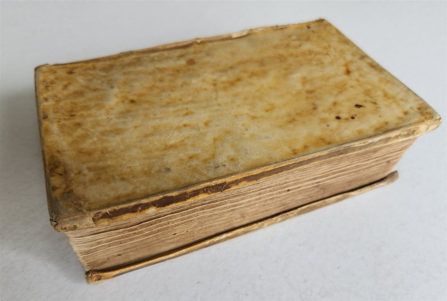 1664 COLLOQUIA by ERASMUS antique VELLUM BOUND