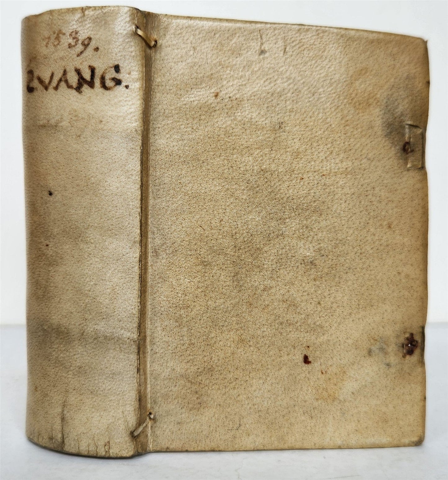 1539 BIBLE in LATIN FULLY ILLUSTRATED antique VELLUM rare 16th CENTURY