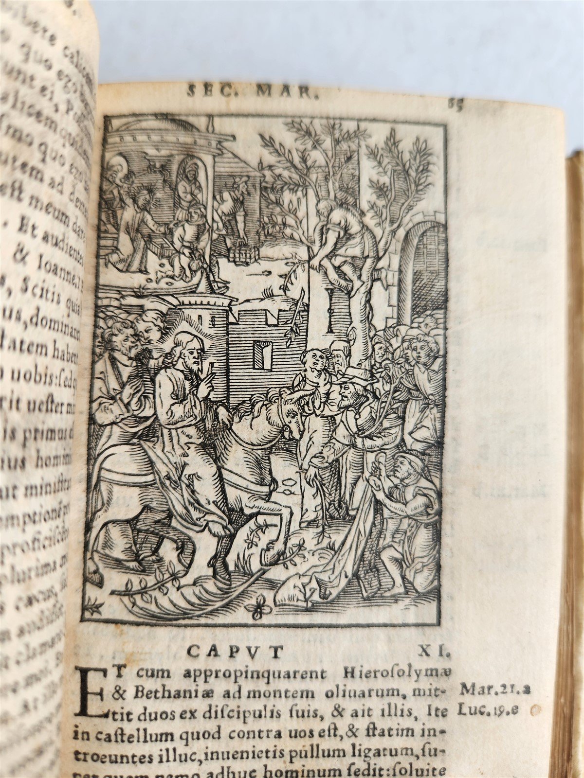 1539 BIBLE in LATIN FULLY ILLUSTRATED antique VELLUM rare 16th CENTURY