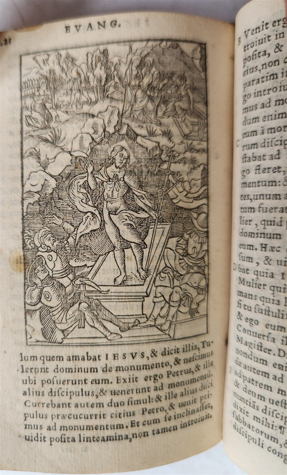 1539 BIBLE in LATIN FULLY ILLUSTRATED antique VELLUM rare 16th CENTURY