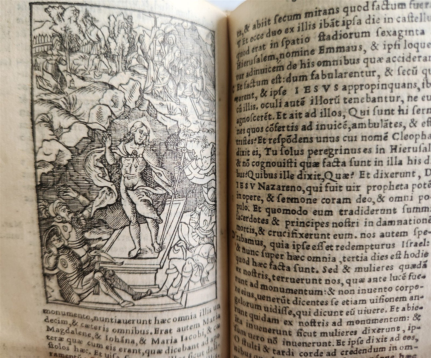 1539 BIBLE in LATIN FULLY ILLUSTRATED antique VELLUM rare 16th CENTURY