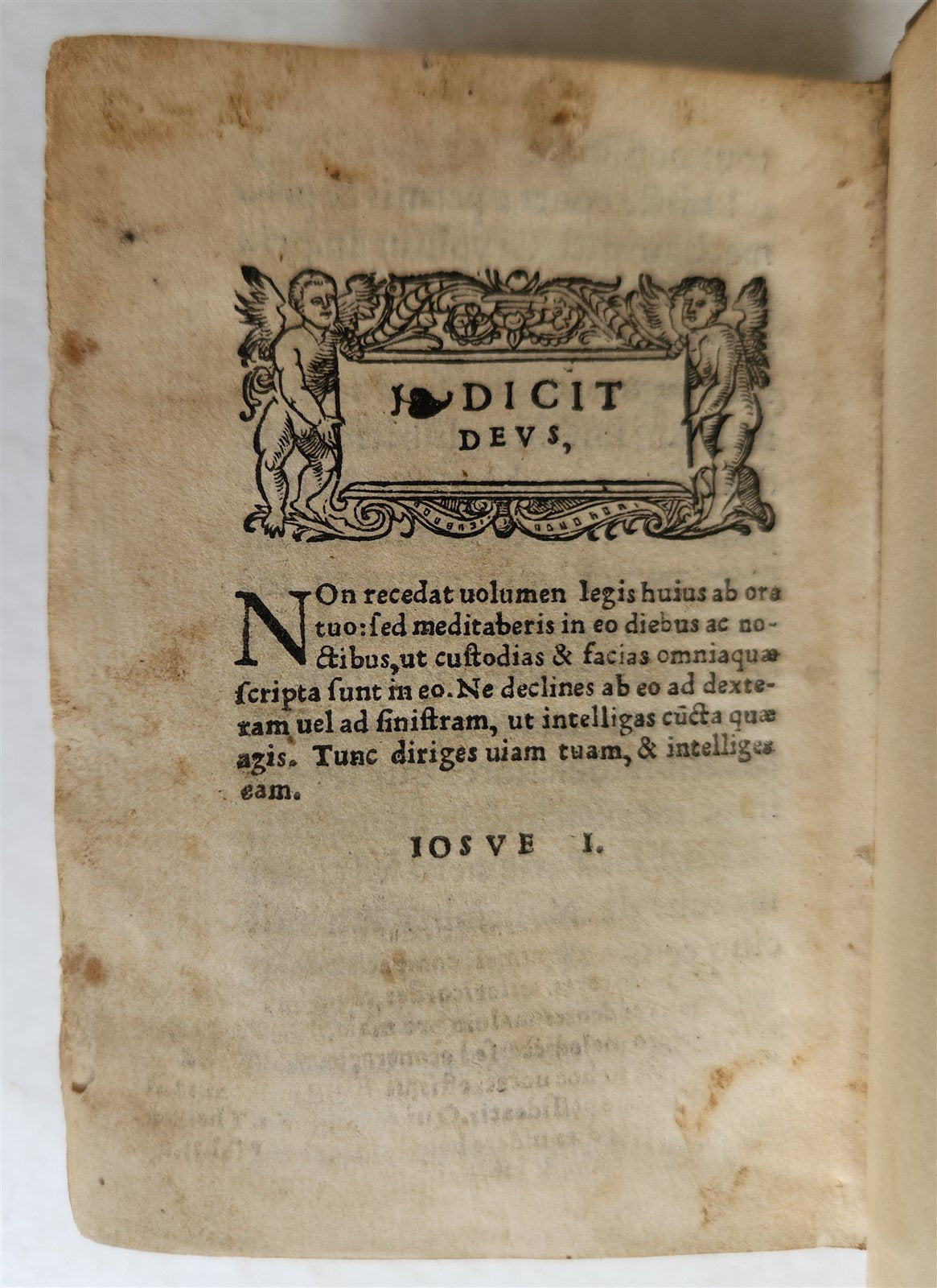 1539 BIBLE in LATIN FULLY ILLUSTRATED antique VELLUM rare 16th CENTURY
