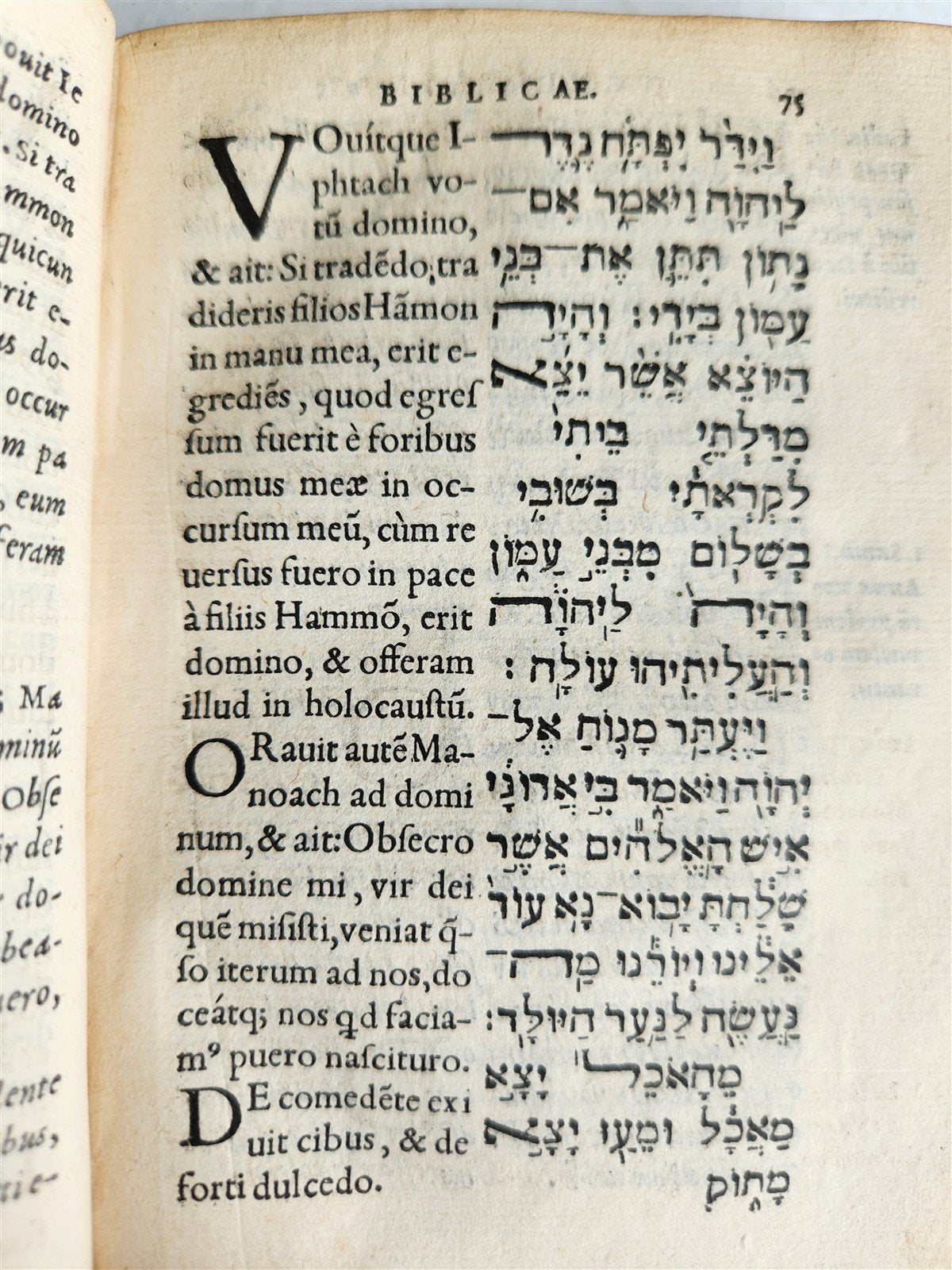 1554 BIBLE in Hebrew Latin & Greek antique SCARCE