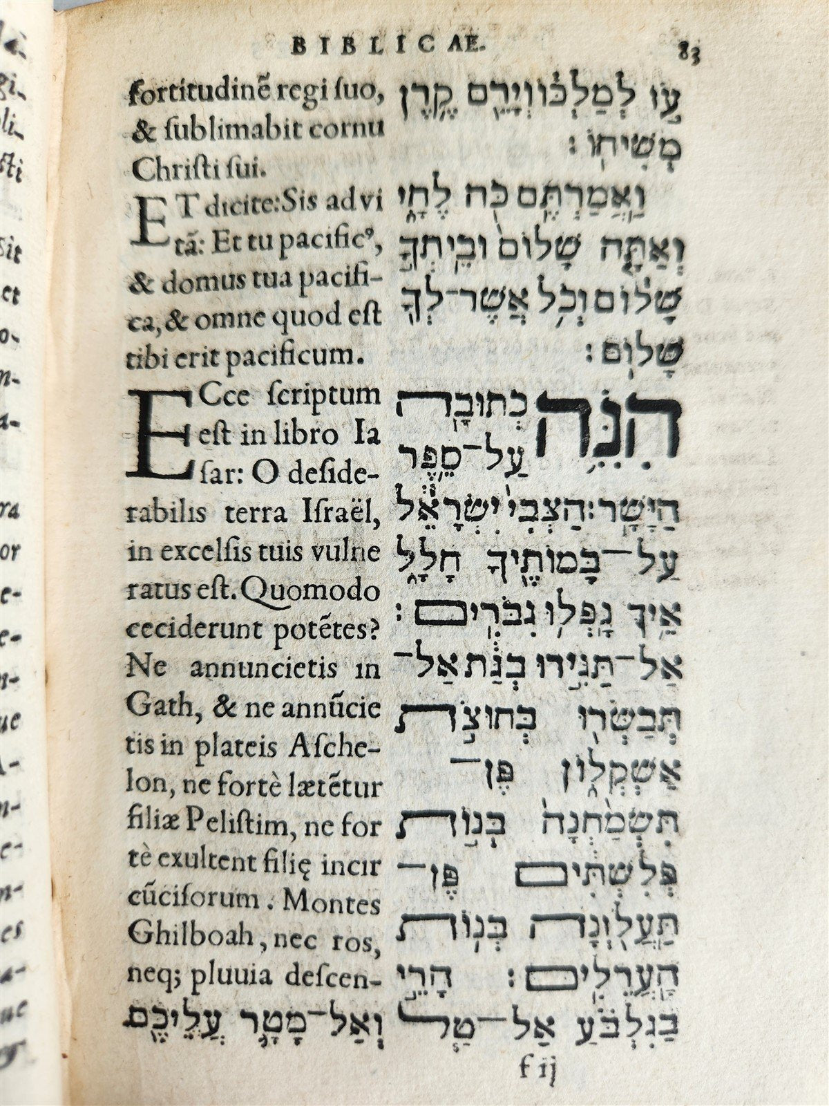 1554 BIBLE in Hebrew Latin & Greek antique SCARCE
