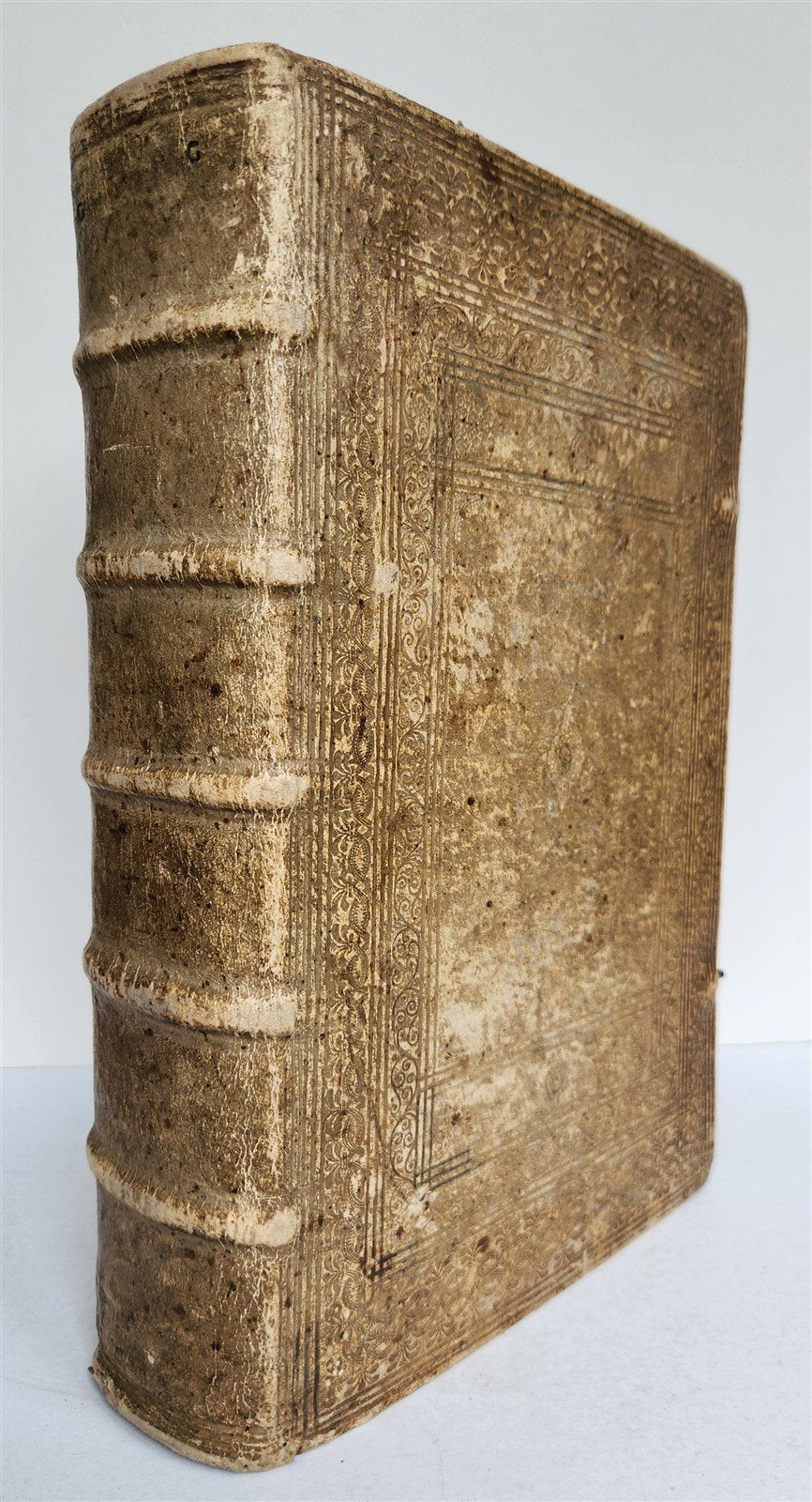 1665 OECONOMIA ILLUSTRATED antique hunting fishing livestock breeding PIGSKIN