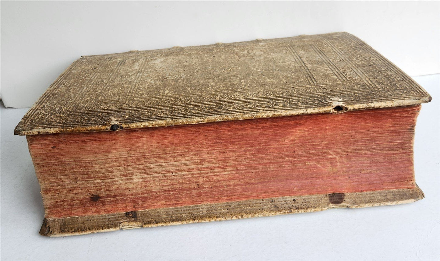 1665 OECONOMIA ILLUSTRATED antique hunting fishing livestock breeding PIGSKIN