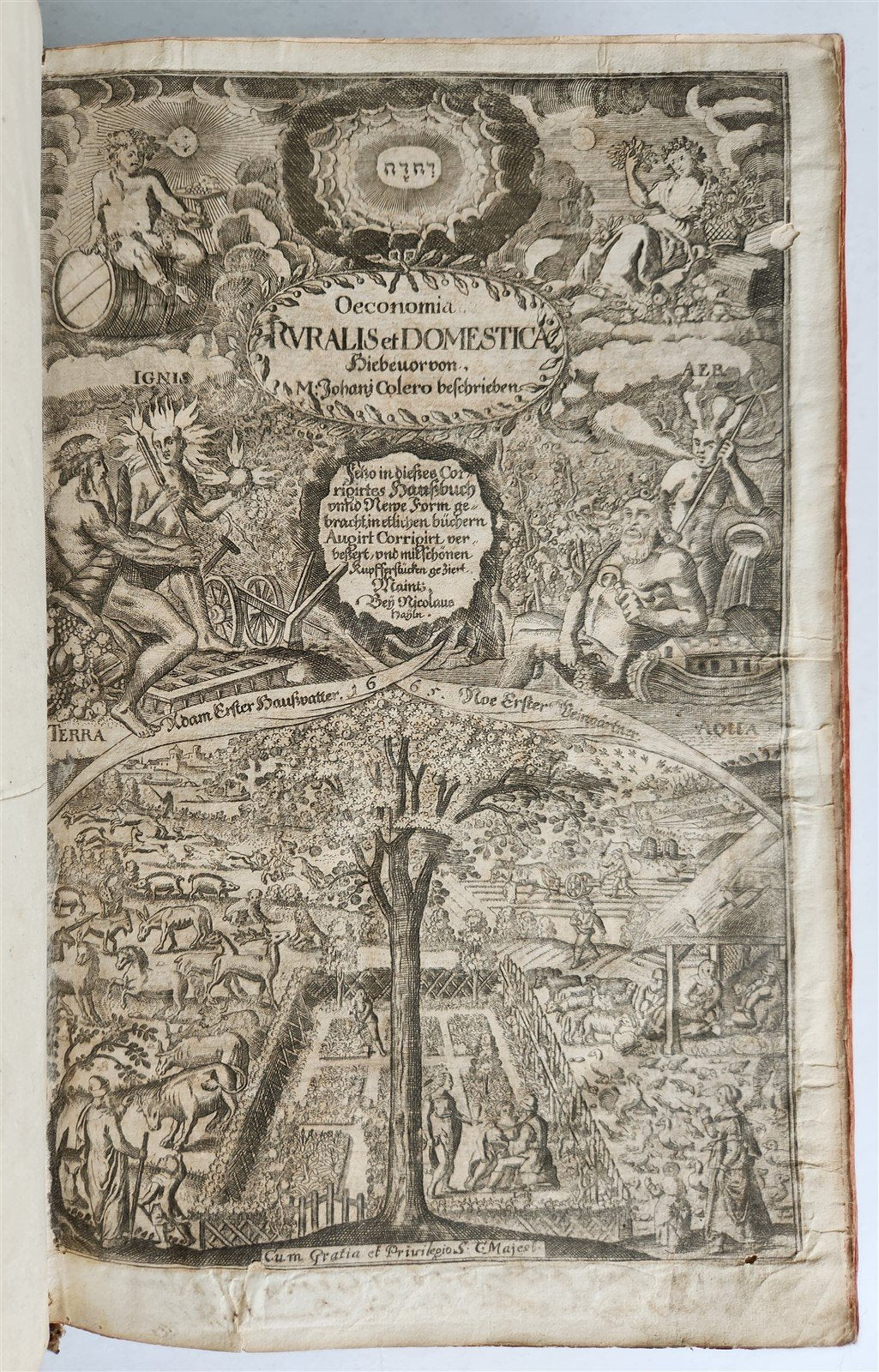 1665 OECONOMIA ILLUSTRATED antique hunting fishing livestock breeding PIGSKIN