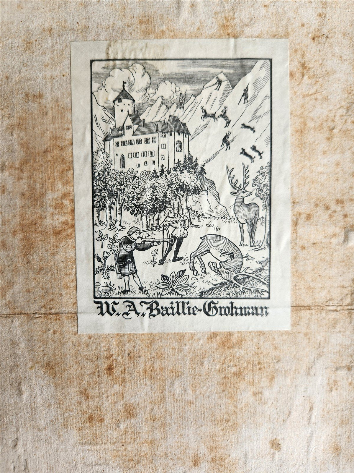1665 OECONOMIA ILLUSTRATED antique hunting fishing livestock breeding PIGSKIN