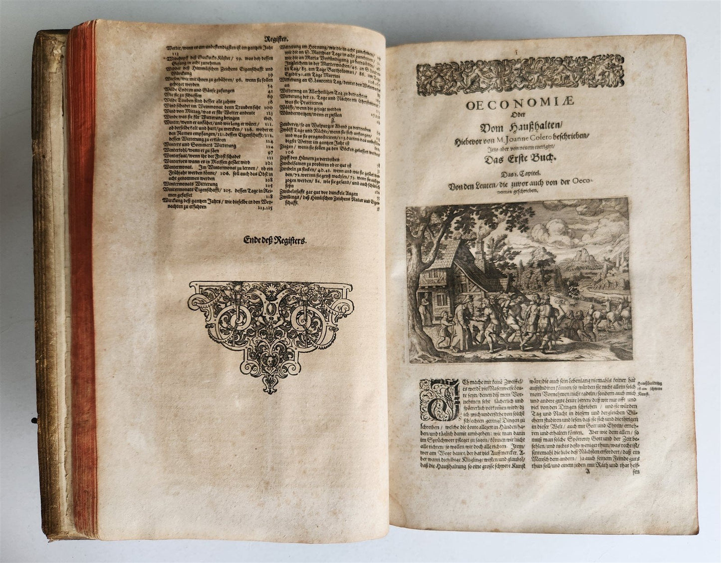 1665 OECONOMIA ILLUSTRATED antique hunting fishing livestock breeding PIGSKIN
