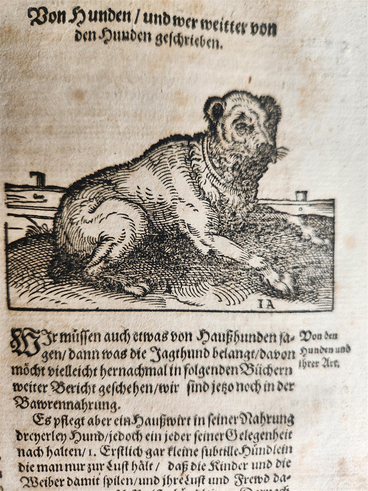 1665 OECONOMIA ILLUSTRATED antique hunting fishing livestock breeding PIGSKIN