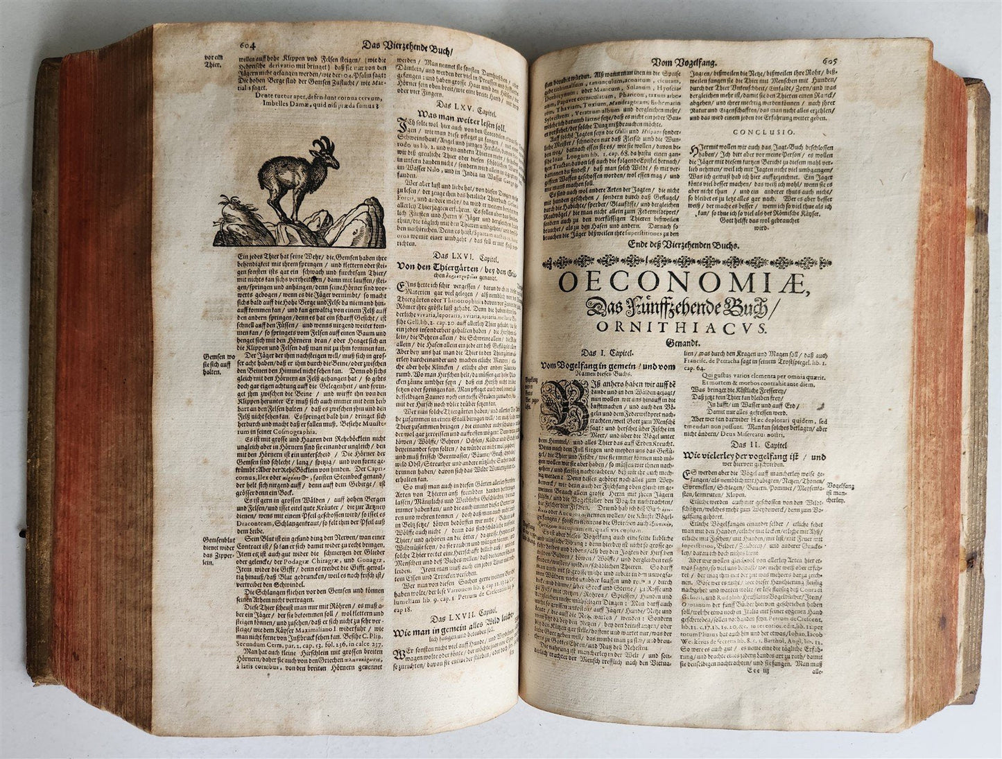1665 OECONOMIA ILLUSTRATED antique hunting fishing livestock breeding PIGSKIN
