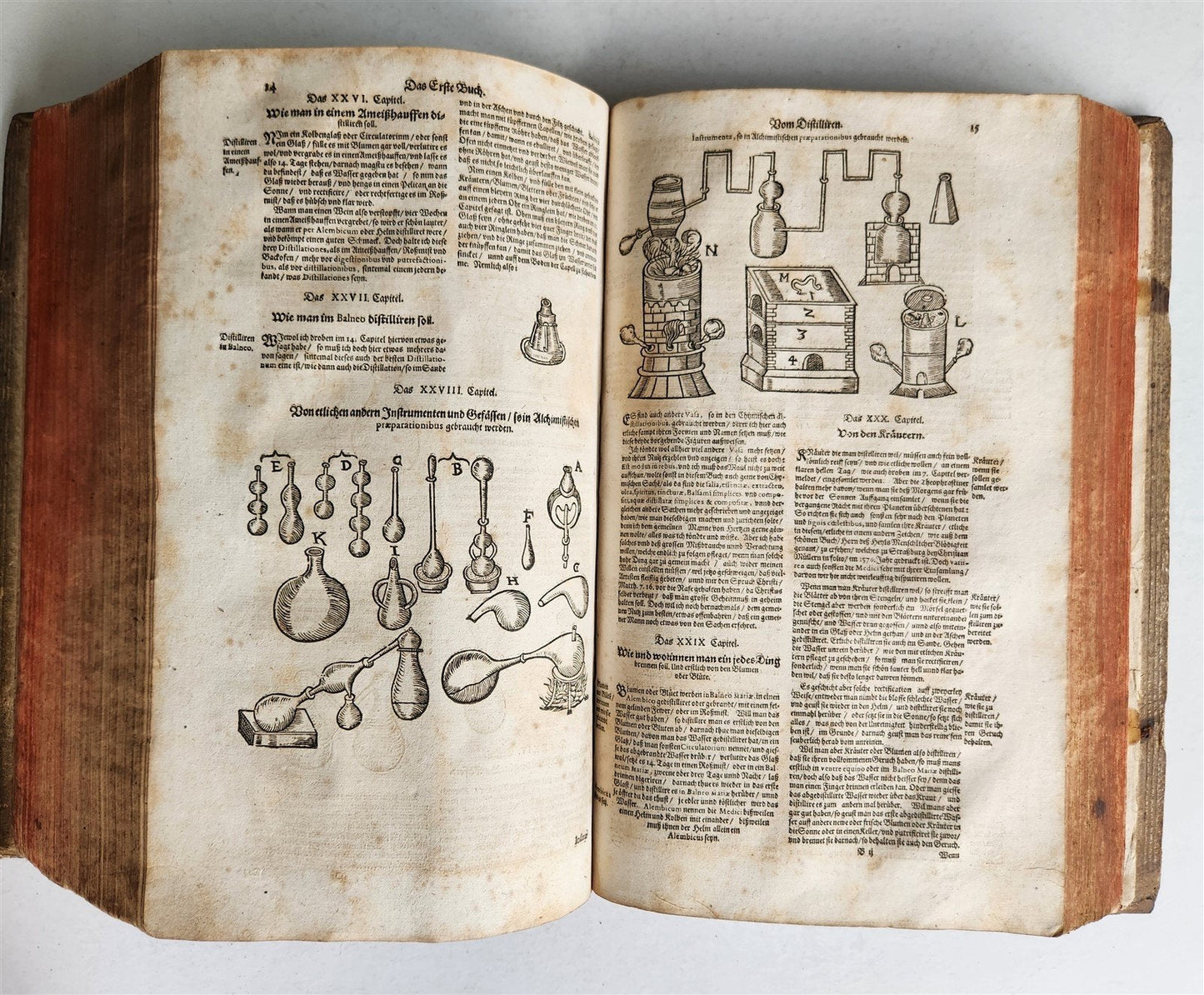 1665 OECONOMIA ILLUSTRATED antique hunting fishing livestock breeding PIGSKIN