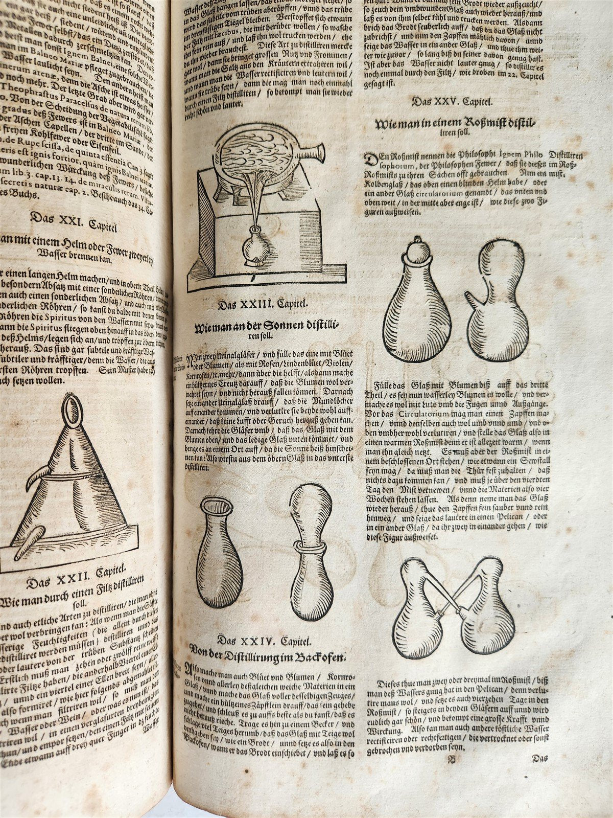 1665 OECONOMIA ILLUSTRATED antique hunting fishing livestock breeding PIGSKIN