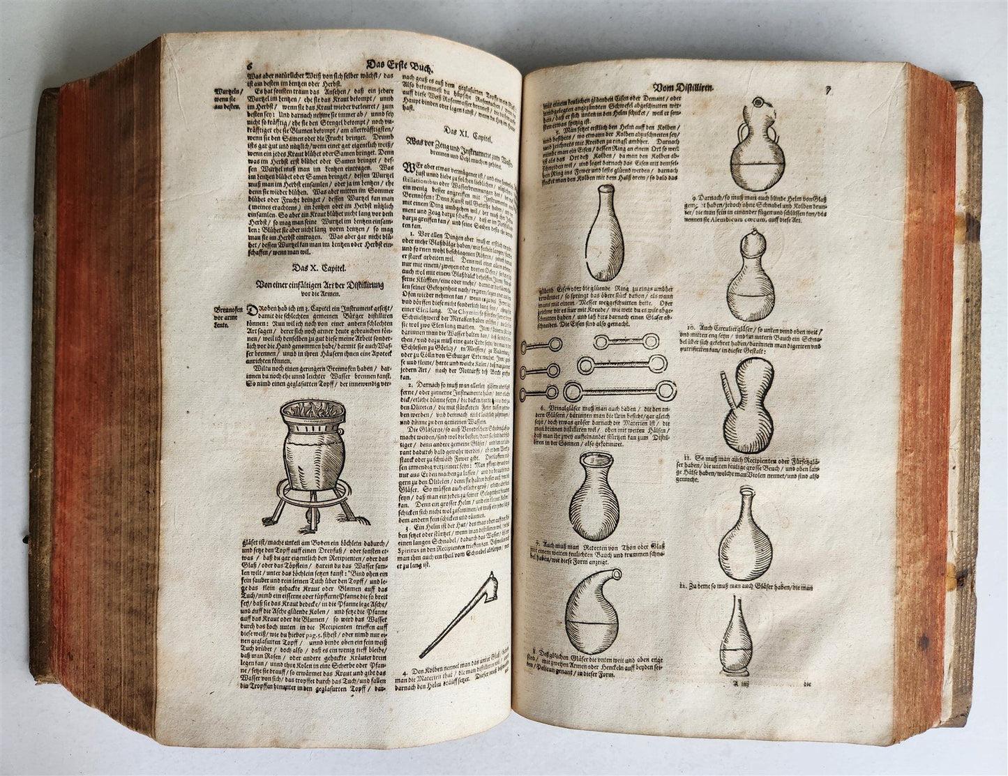 1665 OECONOMIA ILLUSTRATED antique hunting fishing livestock breeding PIGSKIN