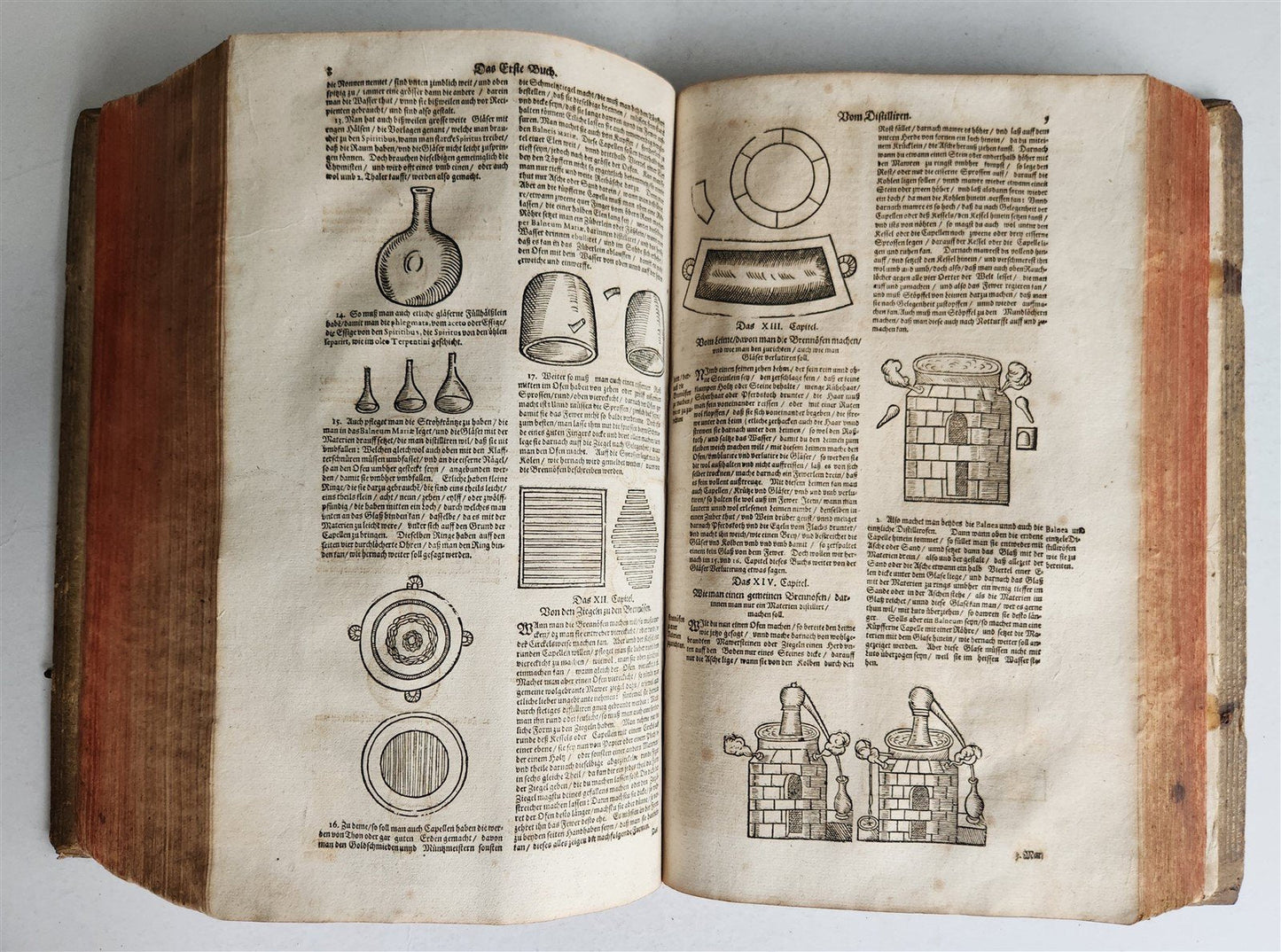 1665 OECONOMIA ILLUSTRATED antique hunting fishing livestock breeding PIGSKIN