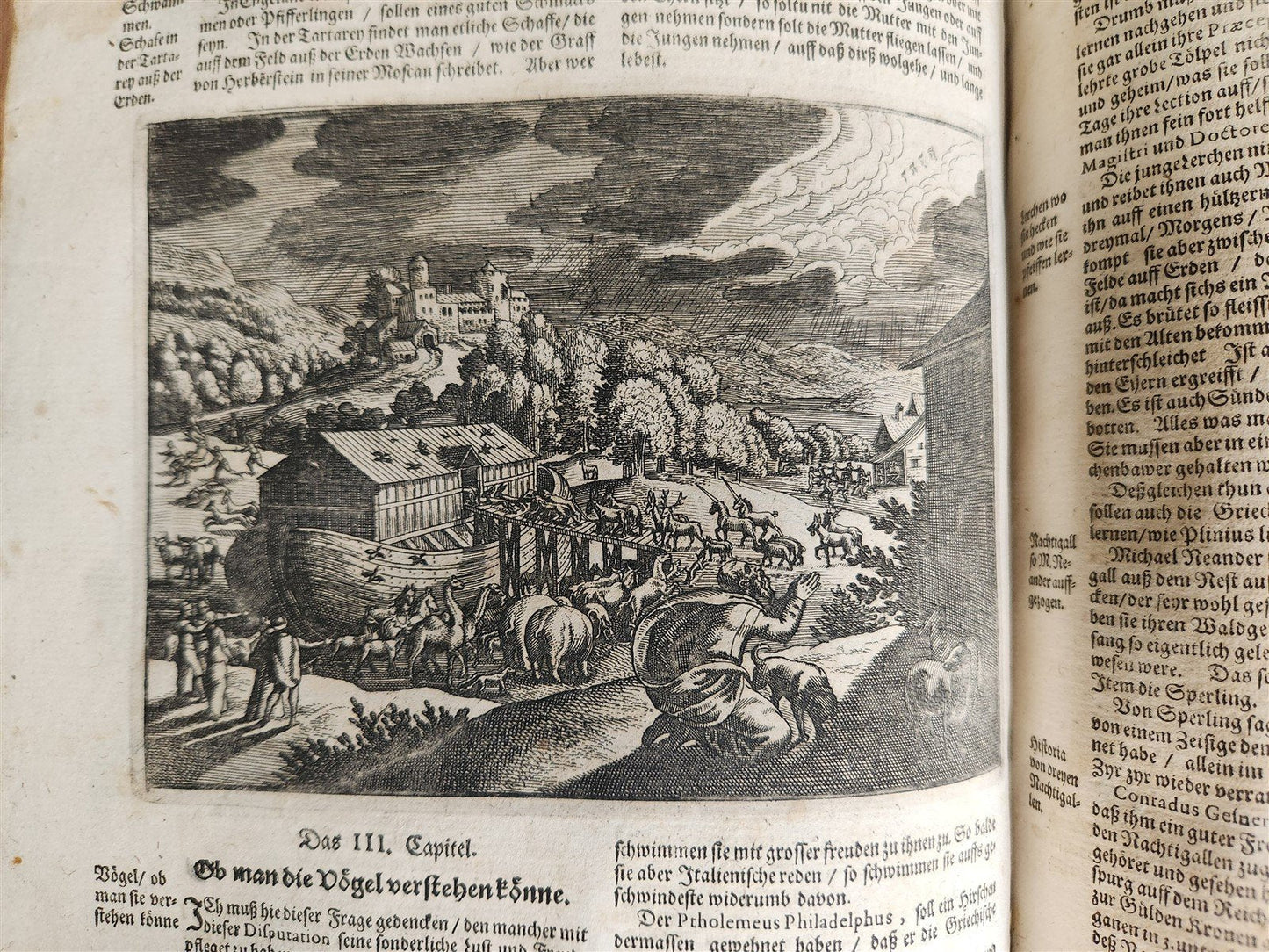 1665 OECONOMIA ILLUSTRATED antique hunting fishing livestock breeding PIGSKIN