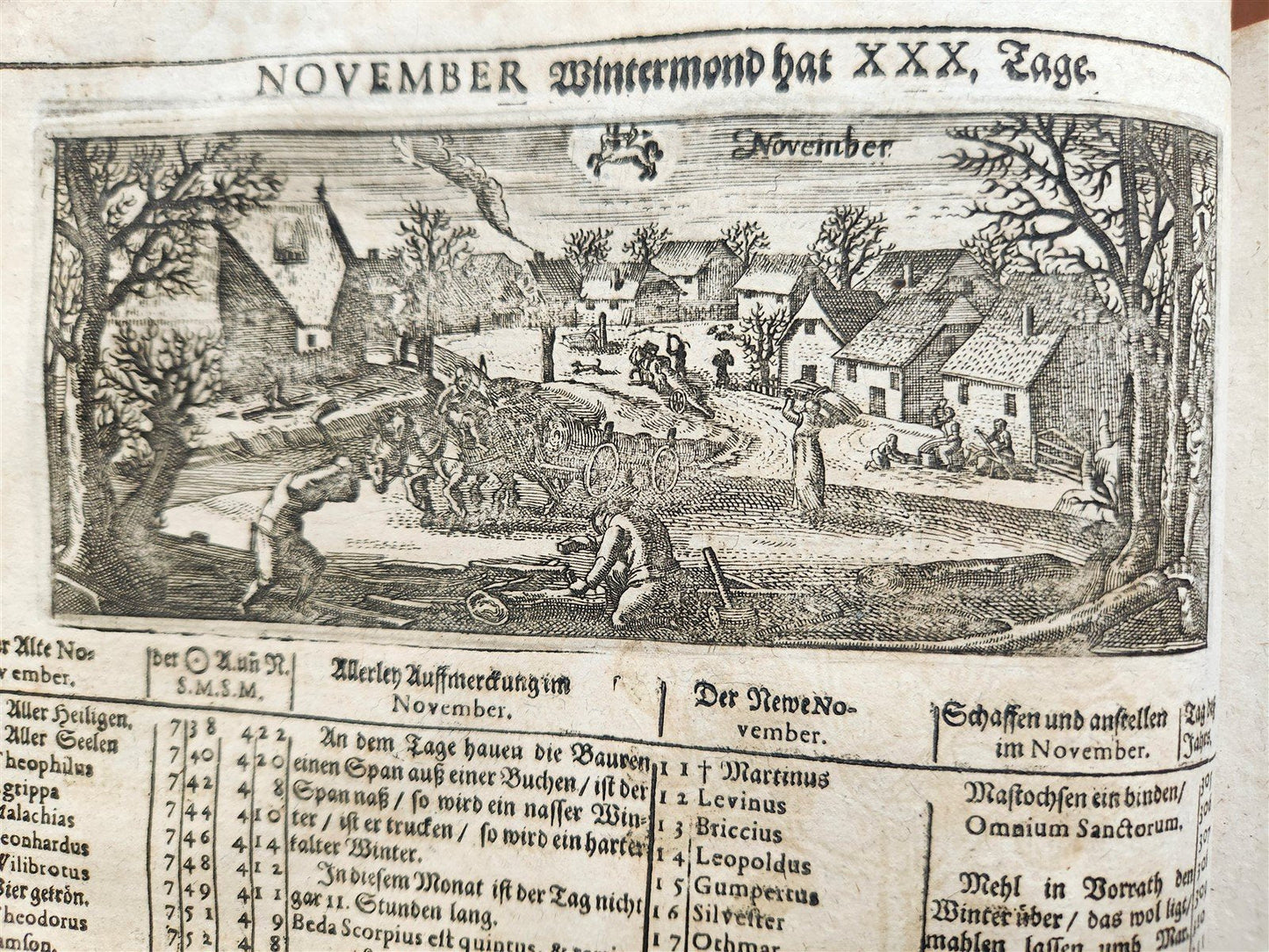 1665 OECONOMIA ILLUSTRATED antique hunting fishing livestock breeding PIGSKIN