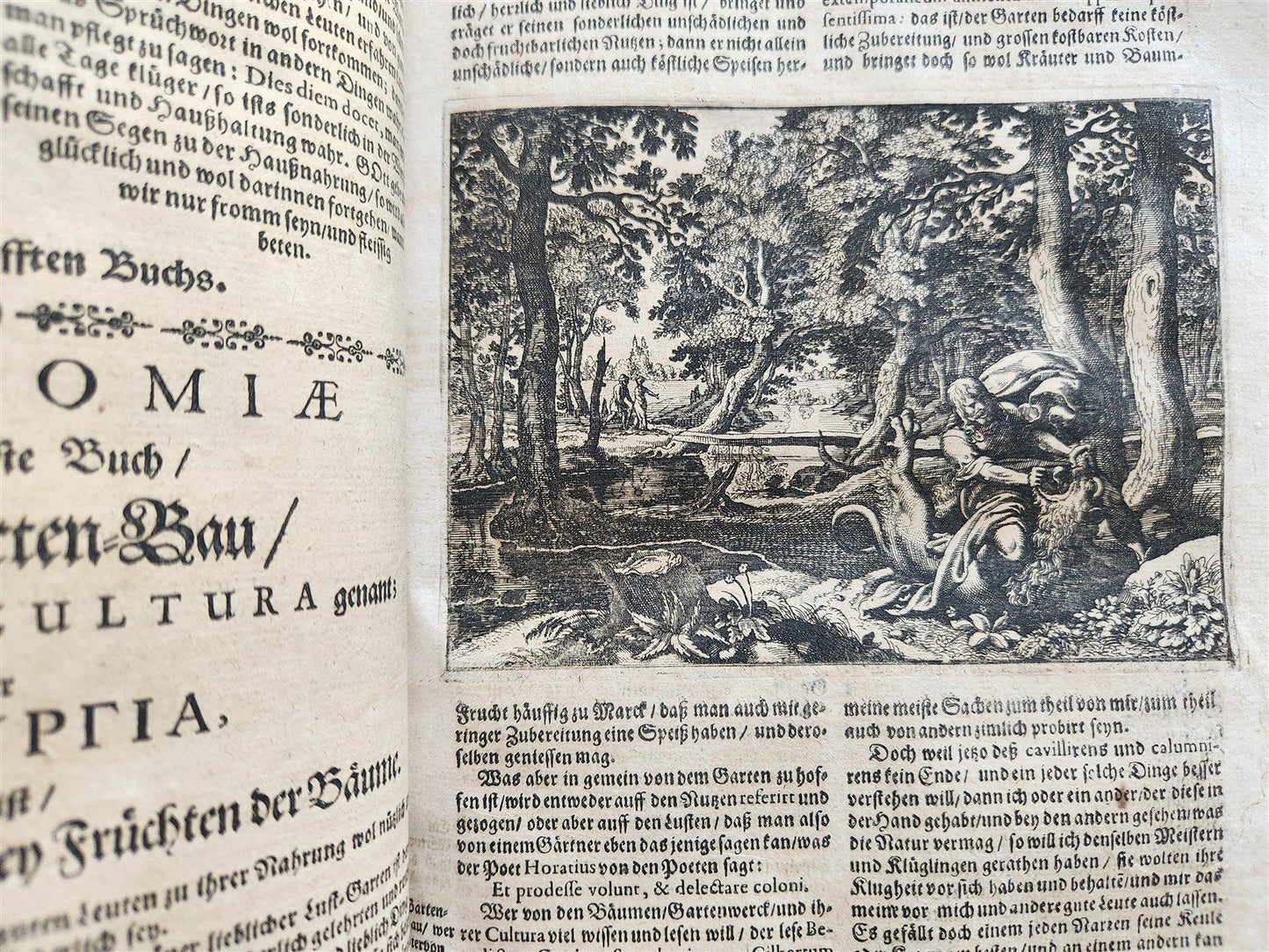 1665 OECONOMIA ILLUSTRATED antique hunting fishing livestock breeding PIGSKIN