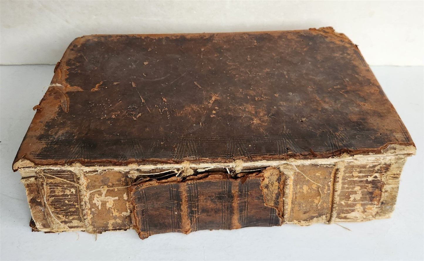 1696 HERBAL BOOK Theatrum botanicum antique ILLUSTRATED FOLIO 1200 woodcuts