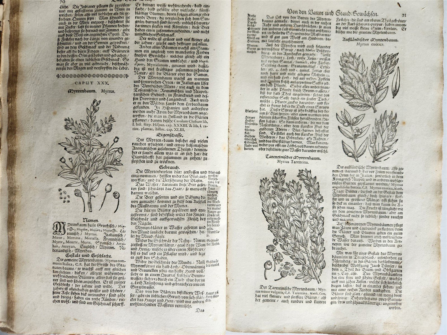 1696 HERBAL BOOK Theatrum botanicum antique ILLUSTRATED FOLIO 1200 woodcuts