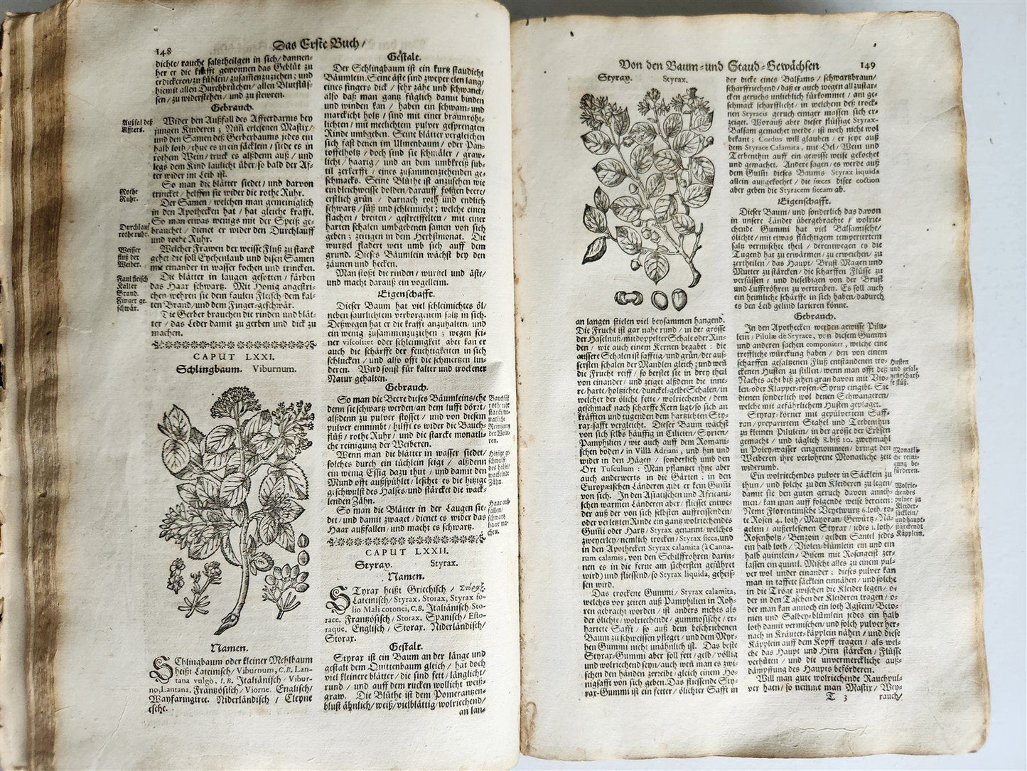 1696 HERBAL BOOK Theatrum botanicum antique ILLUSTRATED FOLIO 1200 woodcuts