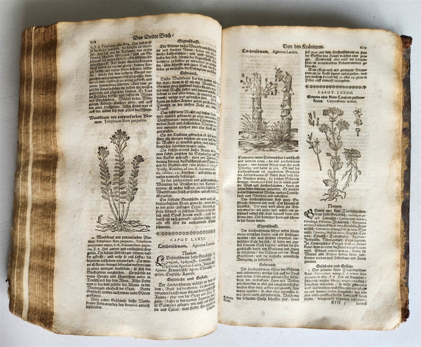 1696 HERBAL BOOK Theatrum botanicum antique ILLUSTRATED FOLIO 1200 woodcuts
