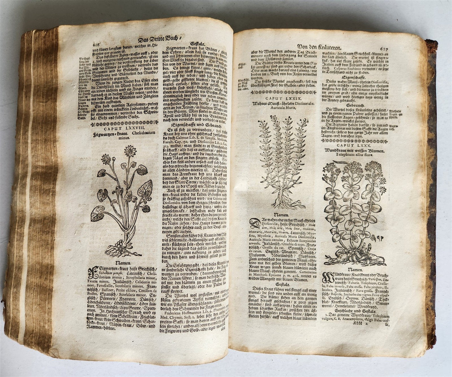 1696 HERBAL BOOK Theatrum botanicum antique ILLUSTRATED FOLIO 1200 woodcuts