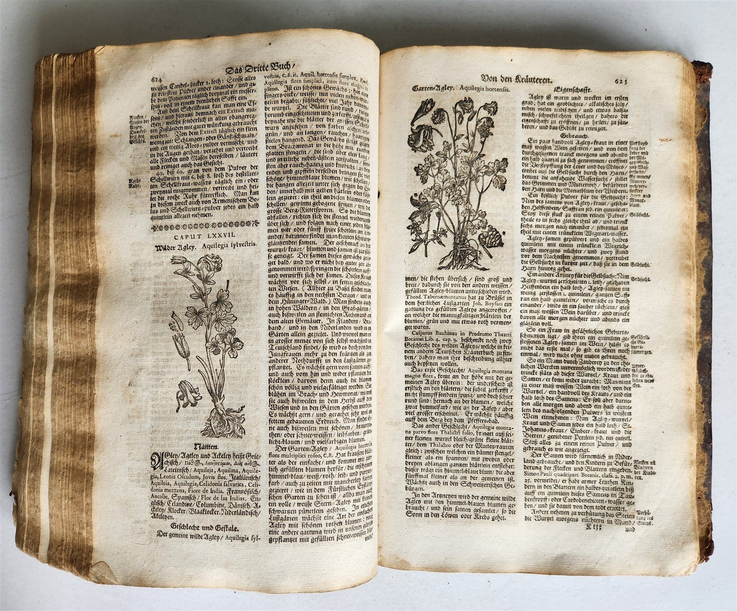 1696 HERBAL BOOK Theatrum botanicum antique ILLUSTRATED FOLIO 1200 woodcuts