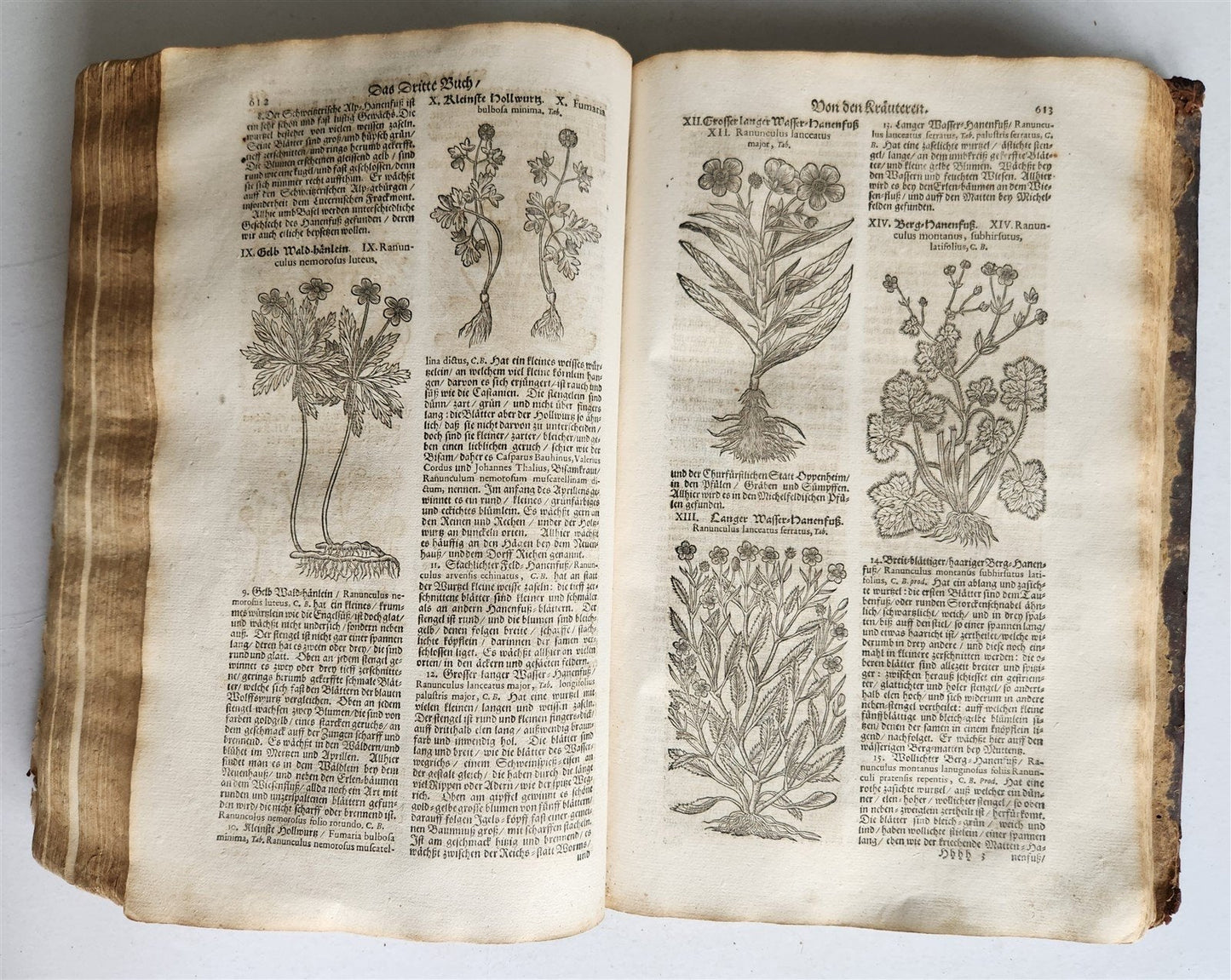 1696 HERBAL BOOK Theatrum botanicum antique ILLUSTRATED FOLIO 1200 woodcuts