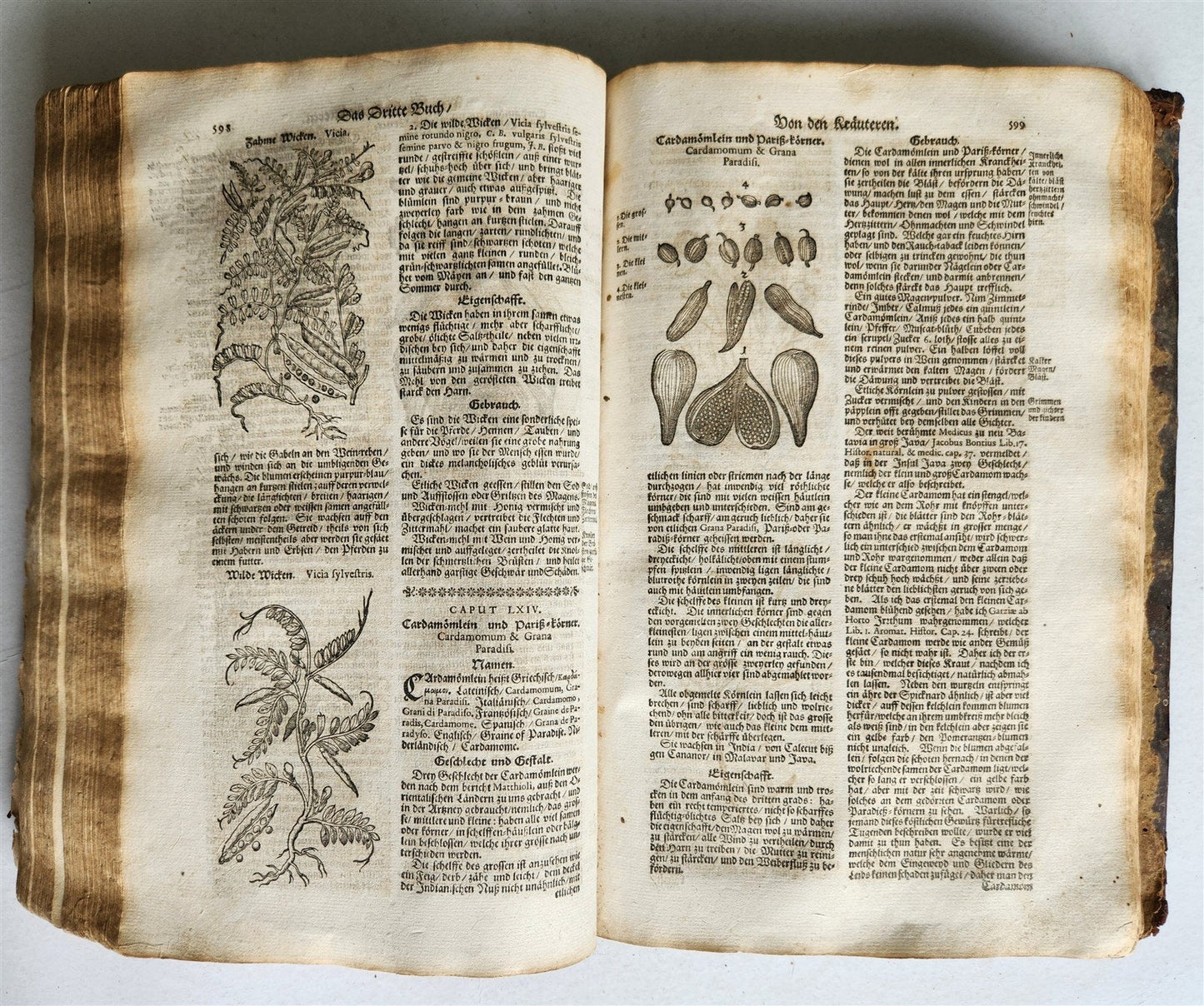1696 HERBAL BOOK Theatrum botanicum antique ILLUSTRATED FOLIO 1200 woodcuts