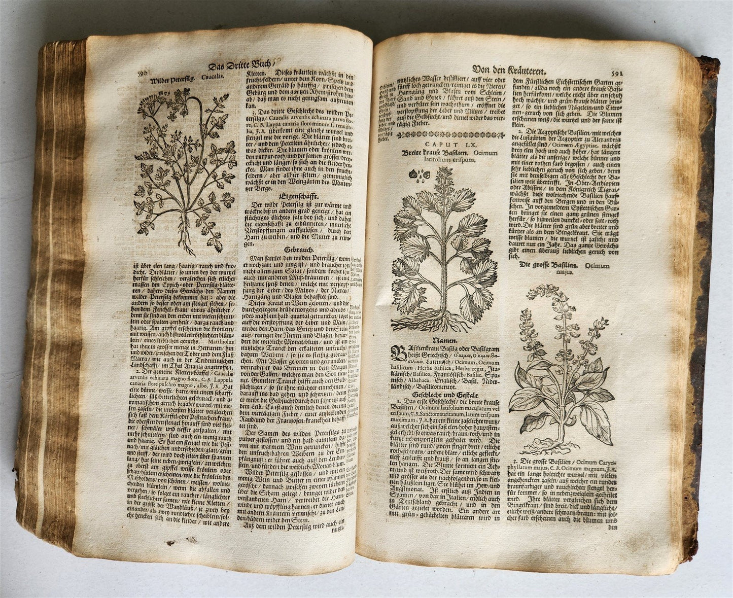1696 HERBAL BOOK Theatrum botanicum antique ILLUSTRATED FOLIO 1200 woodcuts