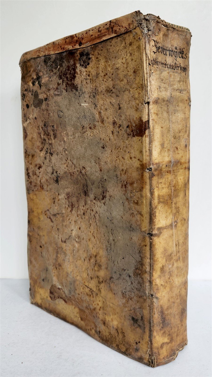 1674 MEDICAL TREATISE by Beverwyck ILLUSTRATED antique VELLUM BOUND FOLIO