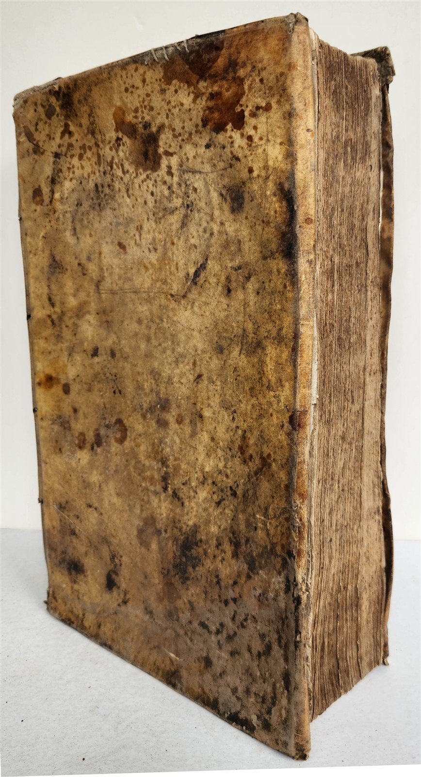 1674 MEDICAL TREATISE by Beverwyck ILLUSTRATED antique VELLUM BOUND FOLIO