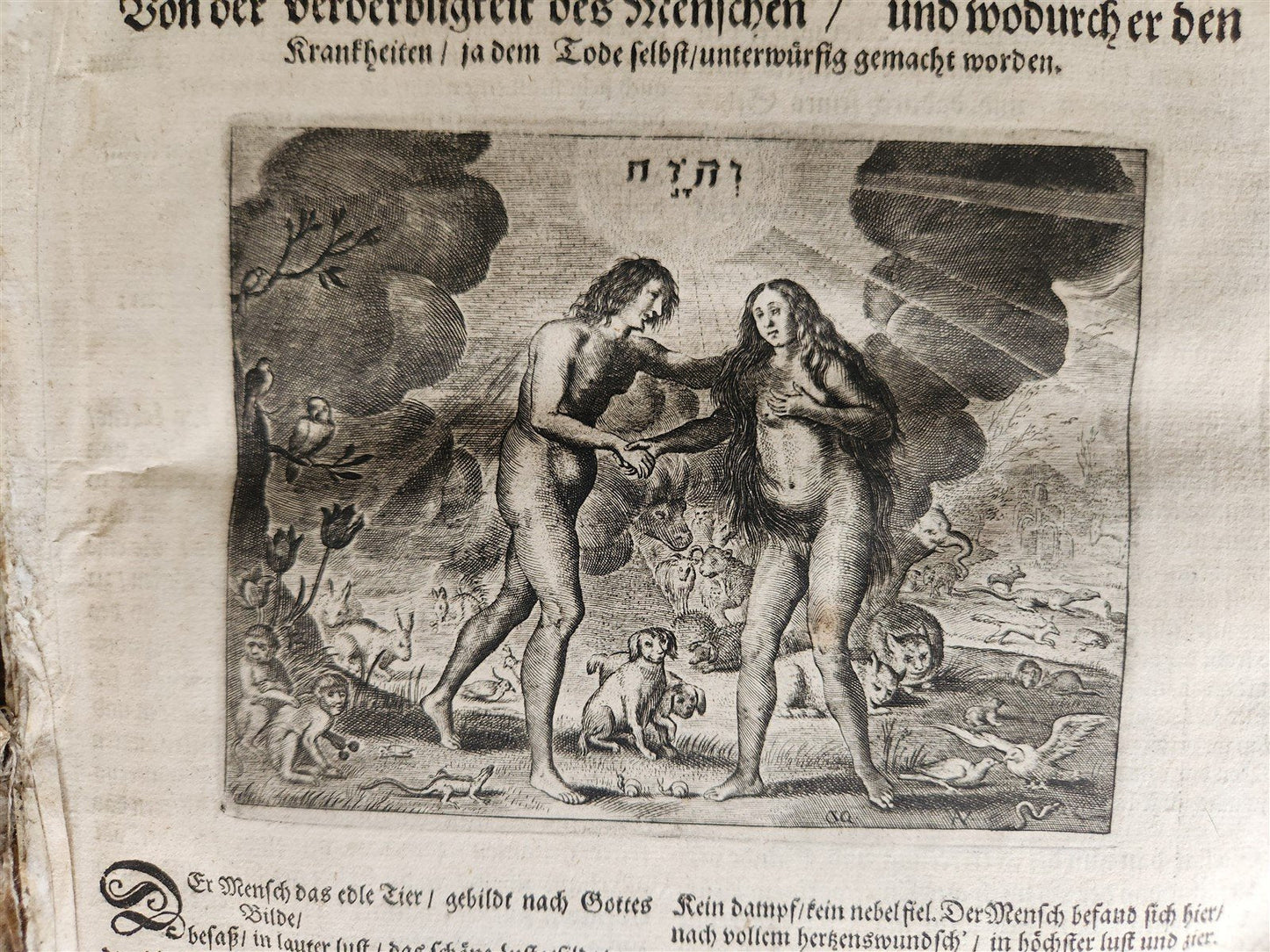 1674 MEDICAL TREATISE by Beverwyck ILLUSTRATED antique VELLUM BOUND FOLIO
