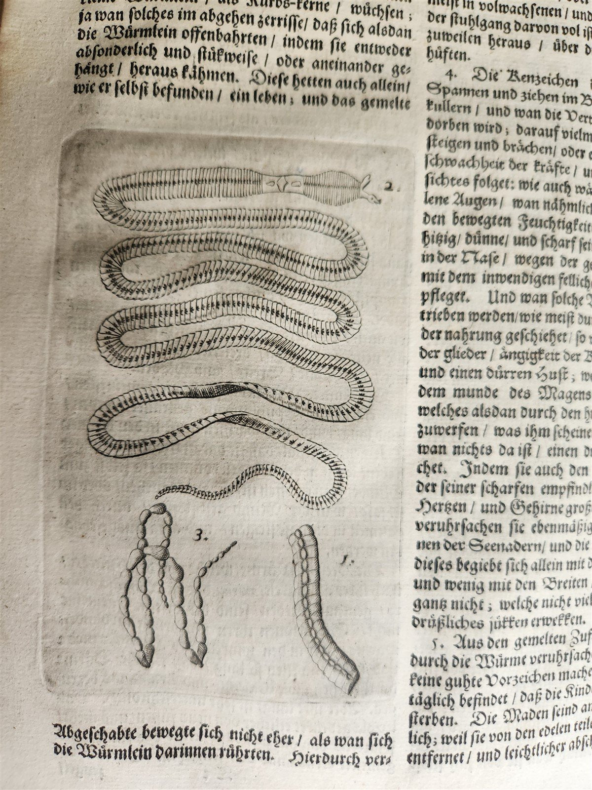 1674 MEDICAL TREATISE by Beverwyck ILLUSTRATED antique VELLUM BOUND FOLIO