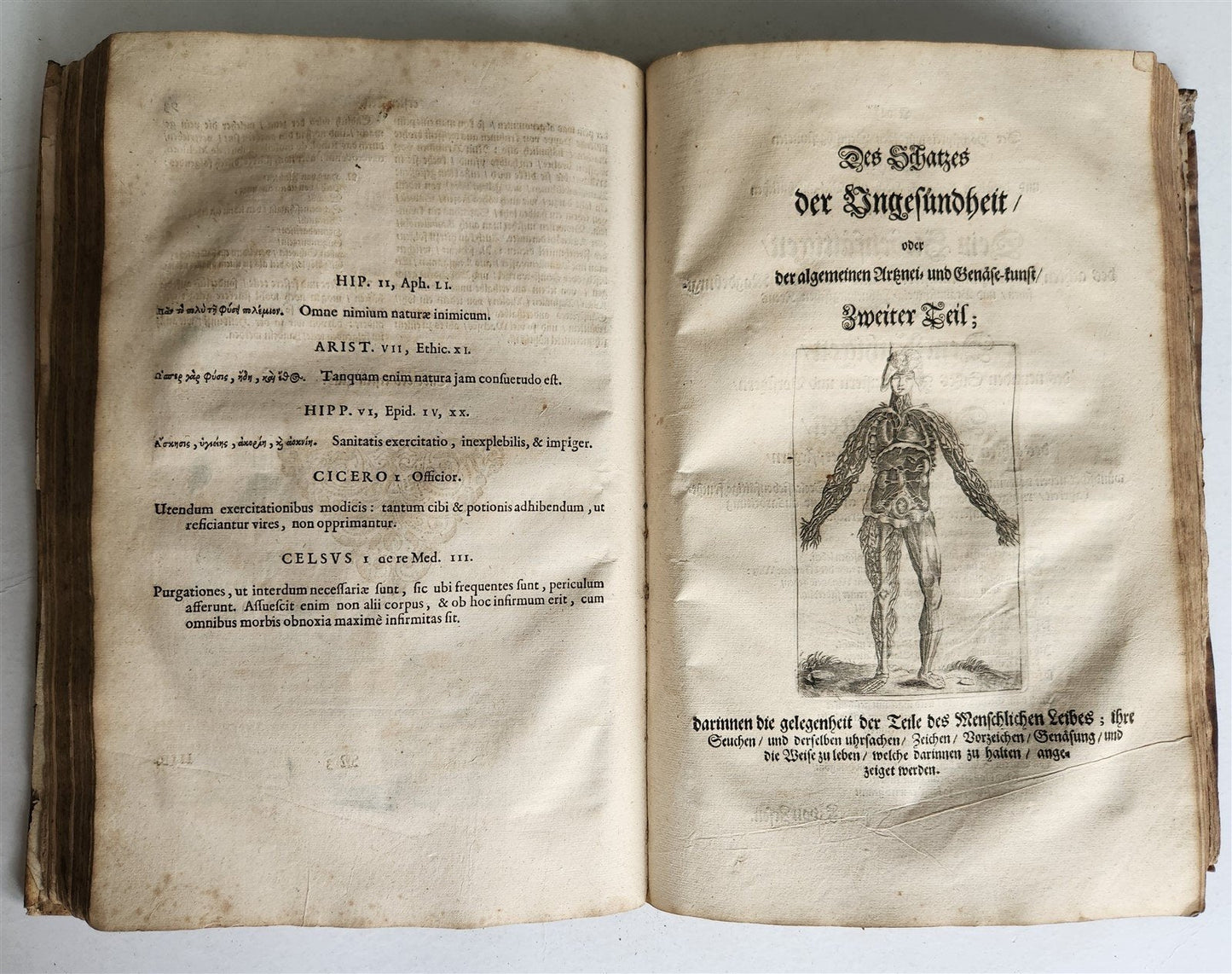 1674 MEDICAL TREATISE by Beverwyck ILLUSTRATED antique VELLUM BOUND FOLIO