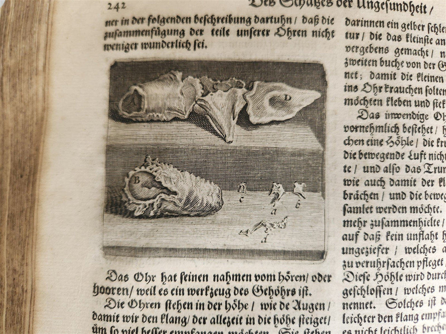 1674 MEDICAL TREATISE by Beverwyck ILLUSTRATED antique VELLUM BOUND FOLIO