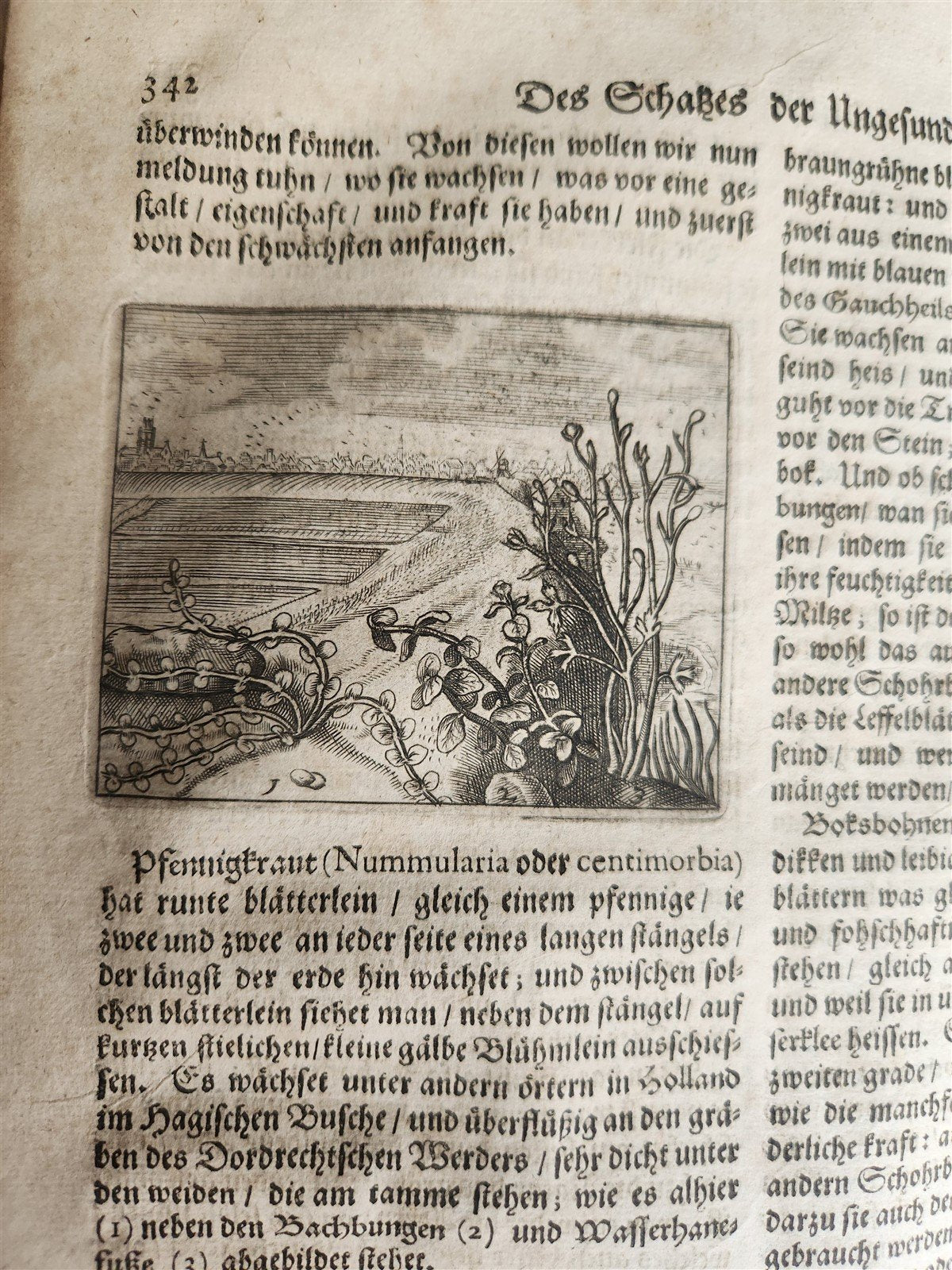 1674 MEDICAL TREATISE by Beverwyck ILLUSTRATED antique VELLUM BOUND FOLIO