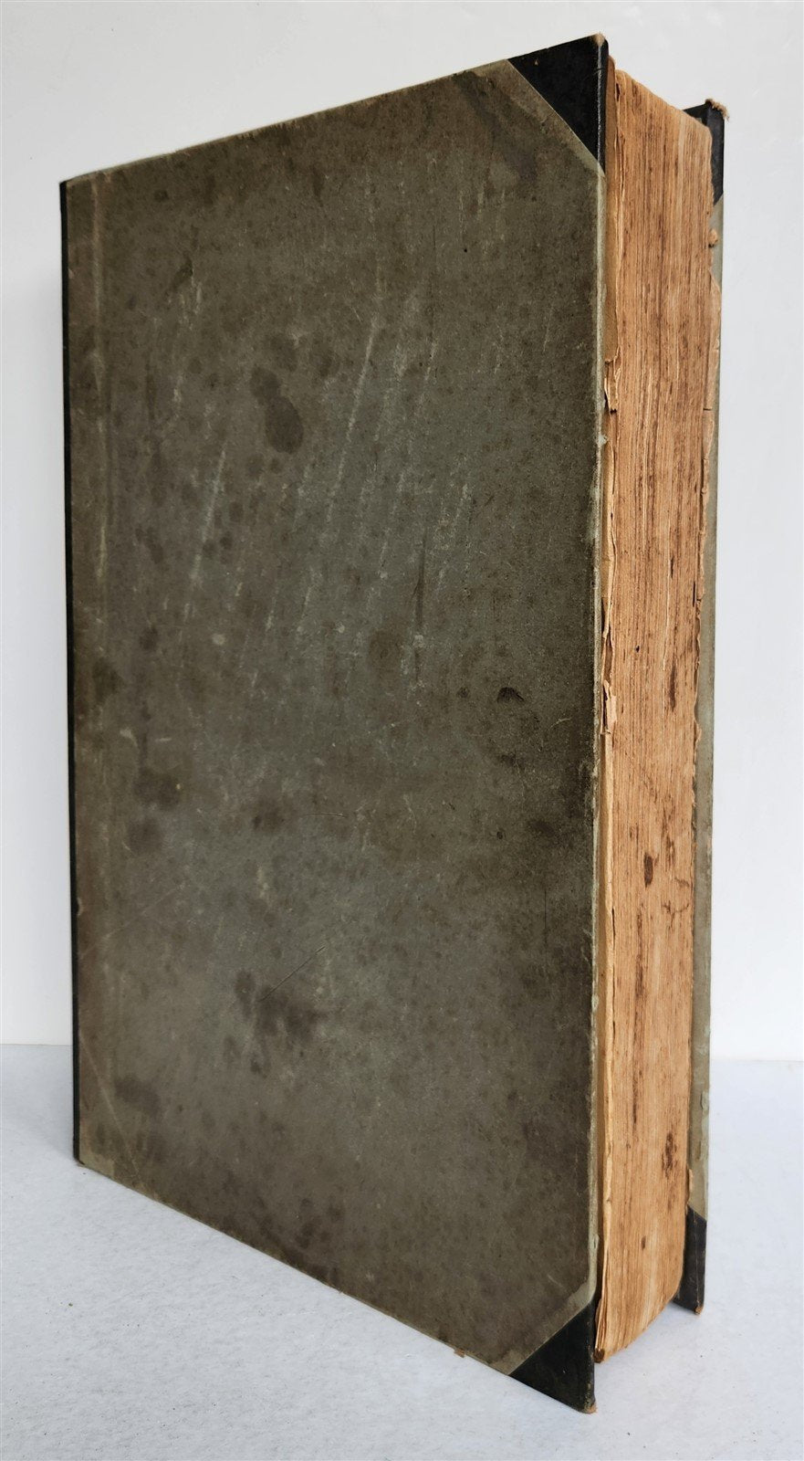1588 HERBAL BOOK in GERMAN antique ILLUSTRATED Tabernaemontanus