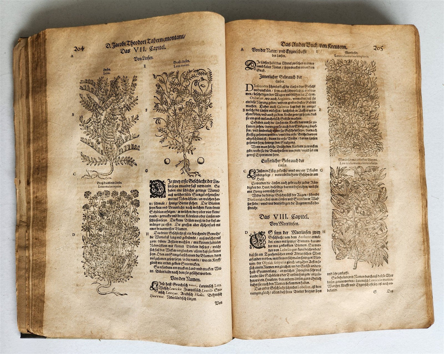 1588 HERBAL BOOK in GERMAN antique ILLUSTRATED Tabernaemontanus