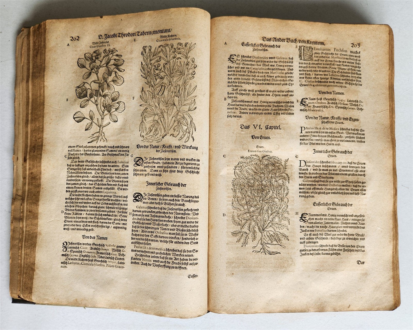1588 HERBAL BOOK in GERMAN antique ILLUSTRATED Tabernaemontanus