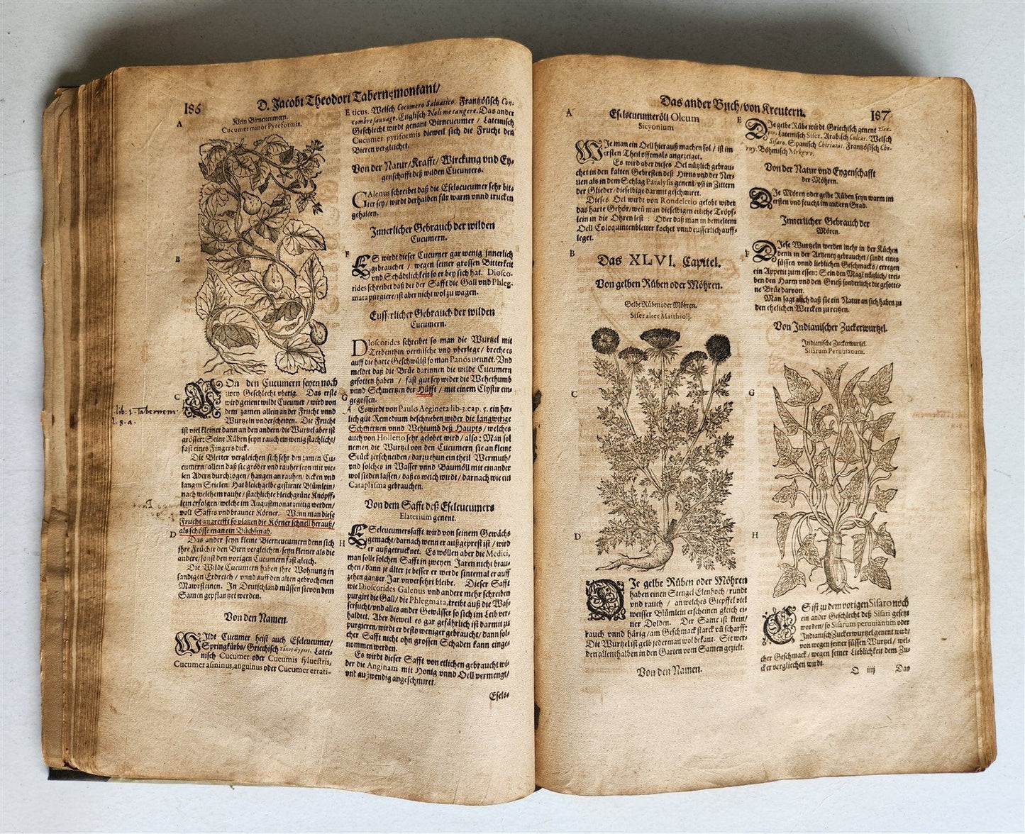 1588 HERBAL BOOK in GERMAN antique ILLUSTRATED Tabernaemontanus