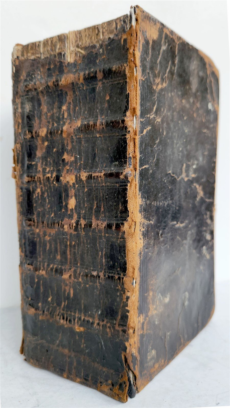 1704 BIBLE in GERMAN antique ILLUSTRATED