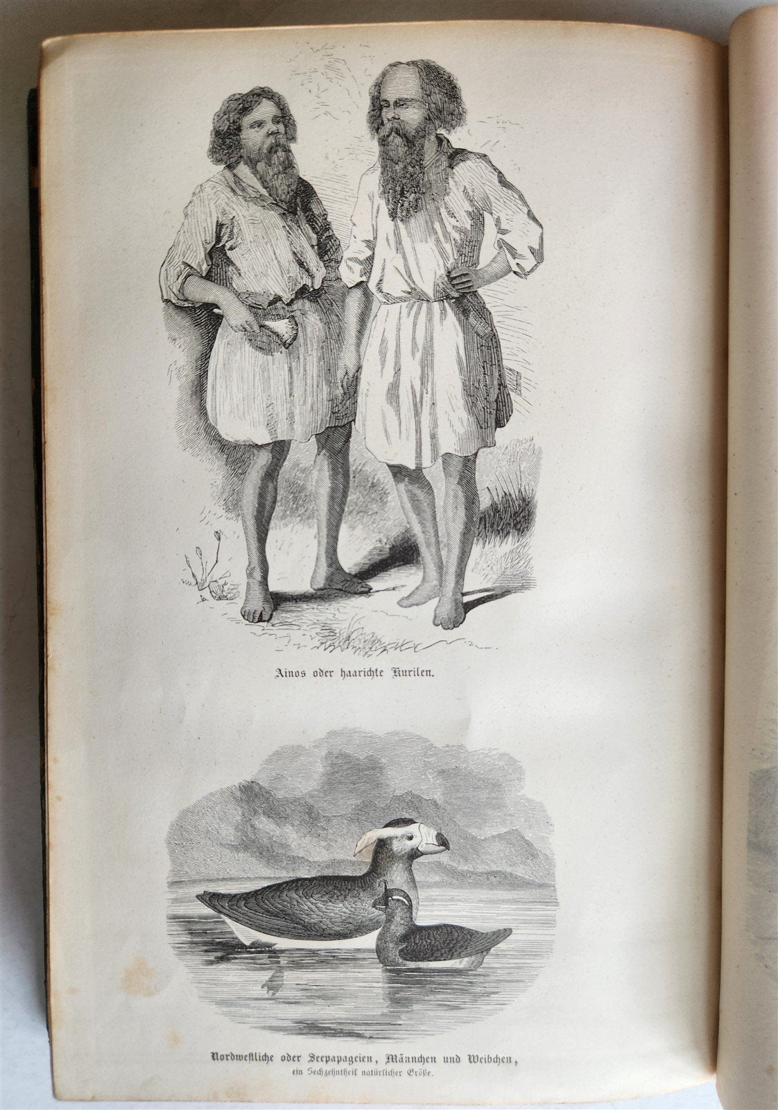1858 EXPEDITION to CHINA JAPAN & OKHOTSK Ringgold & Rodgers antique ILLUSTRATED