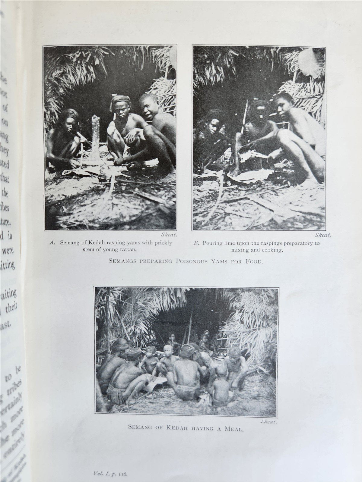 1906 PAGAN RACES of MALAY PENINSULA 2 VOLUMES antique ILLUSTRATED