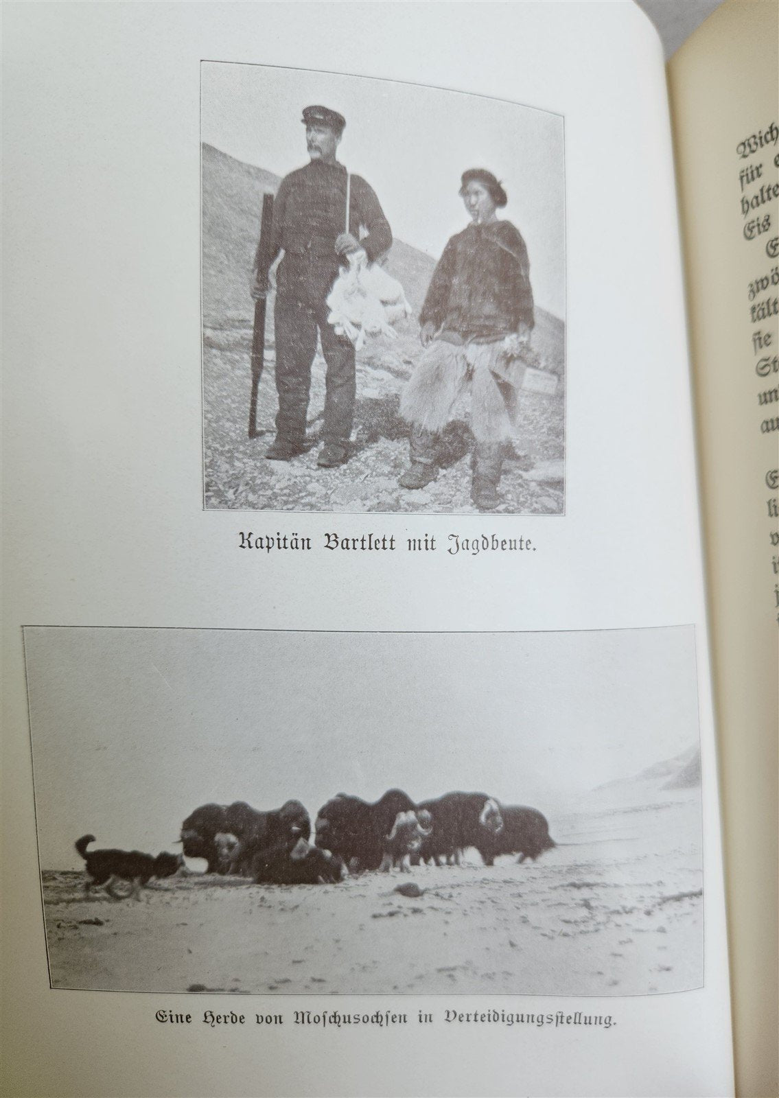 1910 DISCOVERY of NORTH POLE by ROBERT PEARY in GERMAN antique ILLUSTRATED